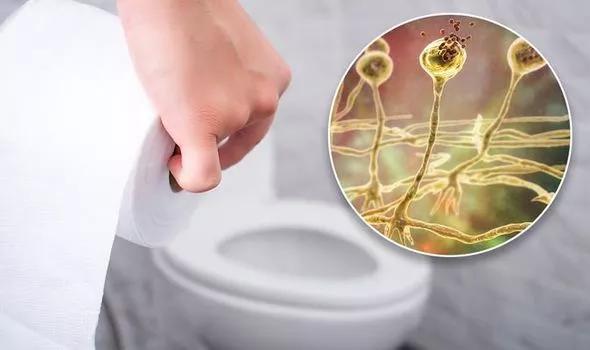 Nguy cơ lây nhiễm khi dùng chung nhà vệ sinh công cộng không cao nếu tay và nhà vệ sinh được làm sạch cẩn thận. Ảnh minh họa: Getty Images