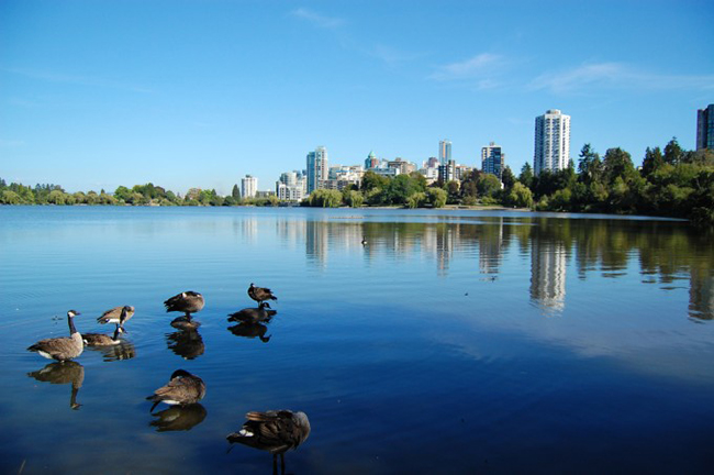 Công viên Stanley, Vancouver, Canada: Là công viên nội đô lớn nhất của Canada, công viên Stanley rộng hơn 400ha này được người dân địa phương và du khách yêu mến. Đây là một trung tâm hoạt động ngoài trời và thậm chí có cả rạp chiếu phim dưới ánh trăng cùng các hồ nước...

