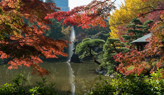 Công viên Hibiya, Tokyo, Nhật Bản: Công viên Hibiya là công viên tuyệt đẹp, một nơi thư giãn hoàn hảo trong thành phố. Ở đây không chỉ có thảm hoa rực rỡ và hoa anh đào, mà còn có nhà hát cùng dàn nhạc sống ấn tượng...
