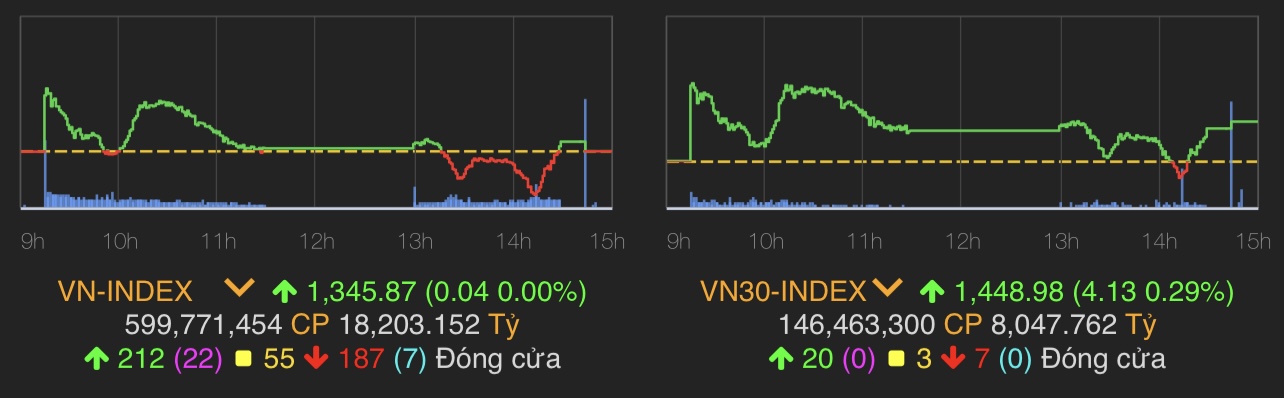 VN-Index tăng 0,04 điểm lên 1.345,87 điểm.