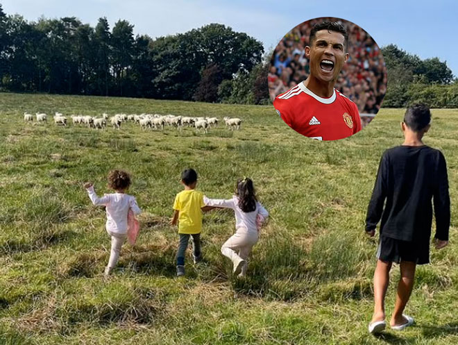 Ronaldo bị đồn rằng chuyển nhà vì không chịu nổi tiếng kêu của cừu vào sáng sớm