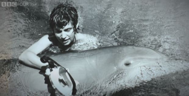 Margaret Howe và con cá heo Peter trong những năm 1960. Ảnh: BBC