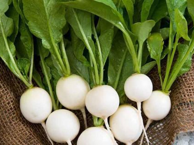 Ẩm thực - Củ cải trắng cực tốt nhưng có thể hóa "chất độc" khi kết hợp với những thứ này