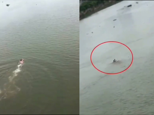 Thể thao - Thượng úy nhảy từ cầu cao 20m xuống sông cứu người, kỹ thuật bơi quá siêu