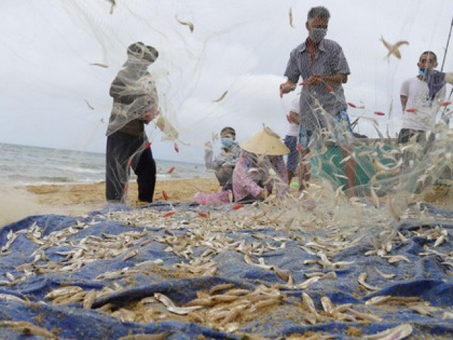 Thị trường - Tiêu dùng - Ngư dân Bà Rịa-Vũng Tàu trúng đậm chuyến đi biển đầu tiên sau 2 tháng giãn cách