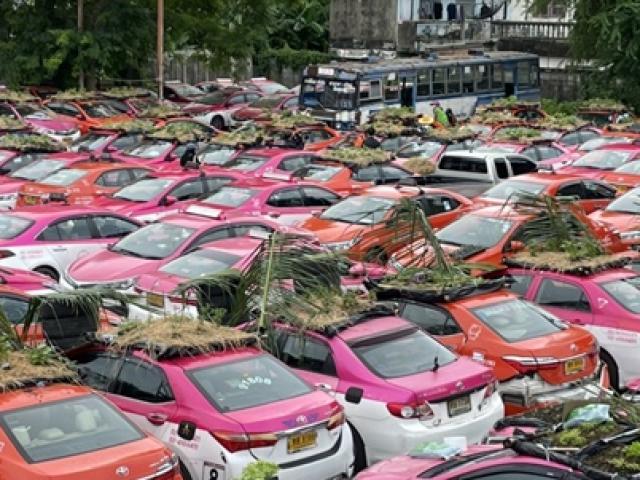 Kinh doanh - Khốn đốn vì "đắp chiếu" giữa mùa dịch, taxi được biến thành vườn rau
