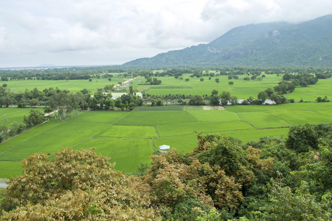 An Giang vào mùa nước nổi – Mùa du lịch đẹp nhất trong năm - 4