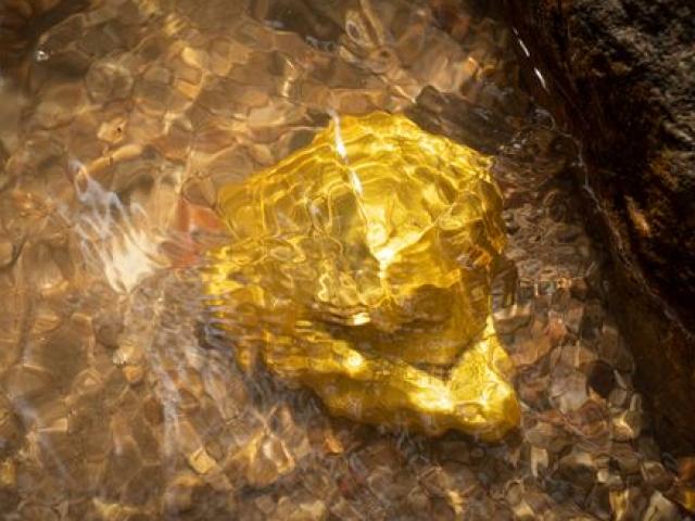 Thế giới - Bí ẩn kho vàng "tử thần" ở Mỹ: Chỉ có người đến, không có người về