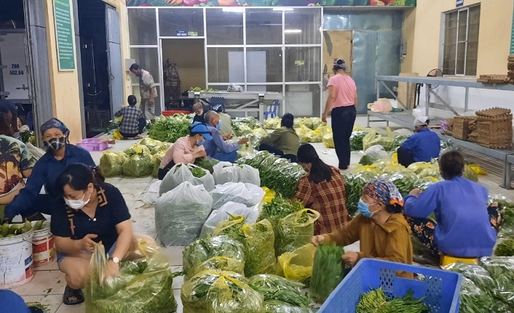 “Vùng xanh” nông sản cung cấp hàng nghìn tấn rau củ, đảm bảo nhu cầu lương thực thiết yếu của người dân trên toàn thành phố.