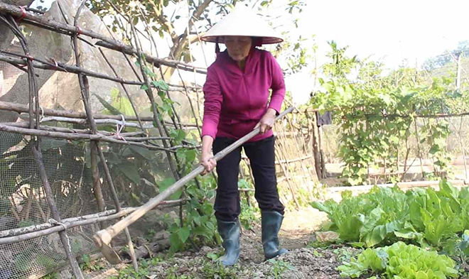 Trào ngược và đau dạ dày cải thiện, bà Thoa khỏe mạnh, vô tư trồng rau, làm vườn