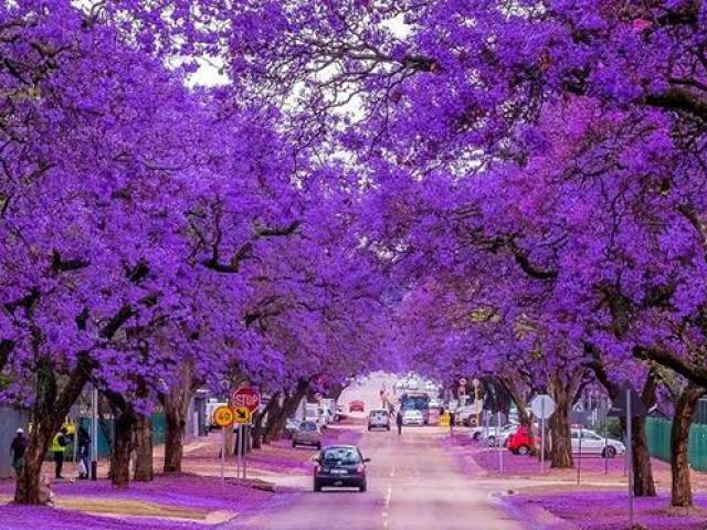 Du lịch - Những đường phố đẹp nhất thế giới mà ai cũng muốn sống ở đó