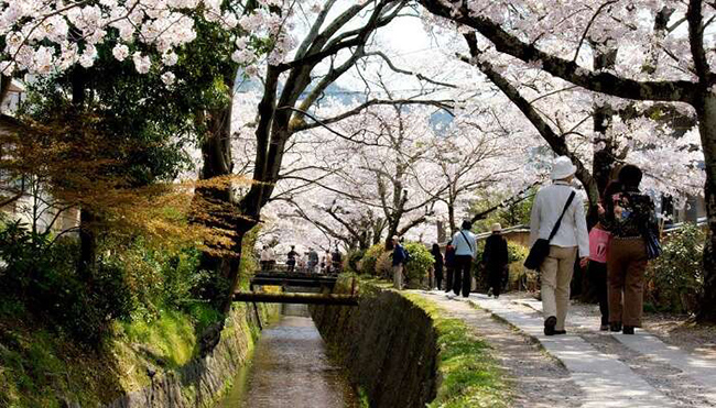 Con đường Triết gia, Nhật Bản: Với hình ảnh một con đường như được bao phủ bởi những bông hoa anh đào màu hồng và trắng nằm dọc theo hồ Biwa Canal, nơi đây trở thành thiên đường trong thành phố, là nơi hoàn hảo để tận hưởng khoảng thời gian yên tĩnh với chính mình.
