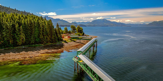 Icy Strait Point, Alaska: Hầu hết các cảng ở Alaska có nhiều cảnh đẹp tự nhiên nhưng Icy Strait Point được coi là đẹp nhất. Cảng nhỏ này càng hấp dẫn hơn bởi những chú cá voi lưng gù thường xuất hiện ở đây và những ngọn núi phủ đầy tuyết bao quanh kênh. 
