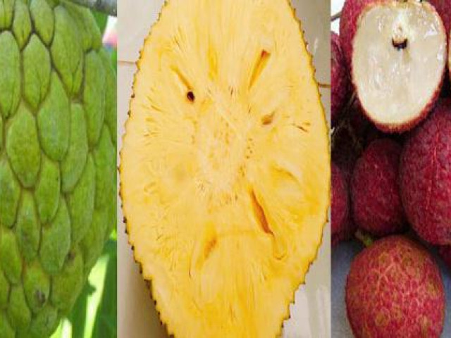 Thị trường - Tiêu dùng - 5 loại trái cây không hạt ''làm mưa làm gió'' trên thị trường