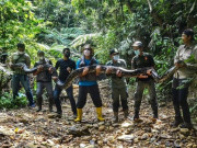 Thế giới - Tóm gọn trăn “khủng” dài 9 mét, nặng 1 tạ mò vào làng ở Indonesia