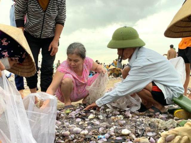 Tin tức trong ngày - Sóng đưa 'lộc' vào bờ, người dân đổ xô đi nhặt kiếm bạc triệu chỉ trong vài giờ