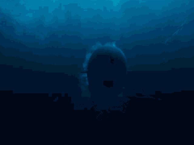 Media - "Sát thủ" đại dương chuyên "săn mồi" bằng kho vũ khí cực nguy hiểm