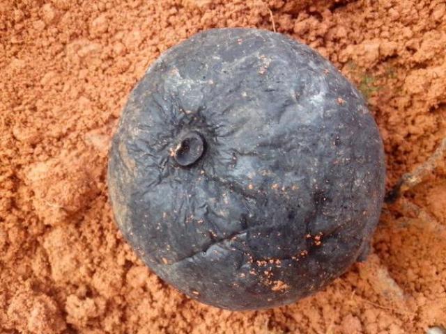 Thị trường - Tiêu dùng - Đi rừng đào được "cục đá" đen sì, tưởng thứ vứt đi ai ngờ là "vàng đen" tiền triệu