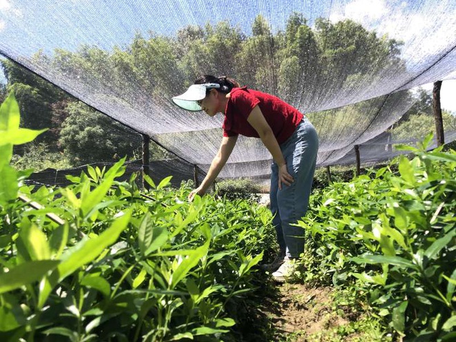 Khi Chu Triệu Hà về quê, có rất nhiều sự nghi ngờ từ bạn bè và họ hàng.