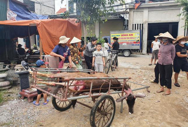 Nhiều gia súc, gia cầm của người dân bị chết, cuốn trôi