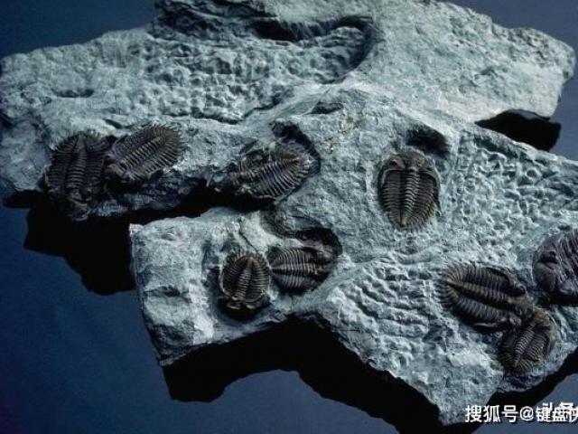 Du lịch - Phát hiện lò phản ứng hạt nhân 2 tỷ năm bí ẩn ở châu Phi