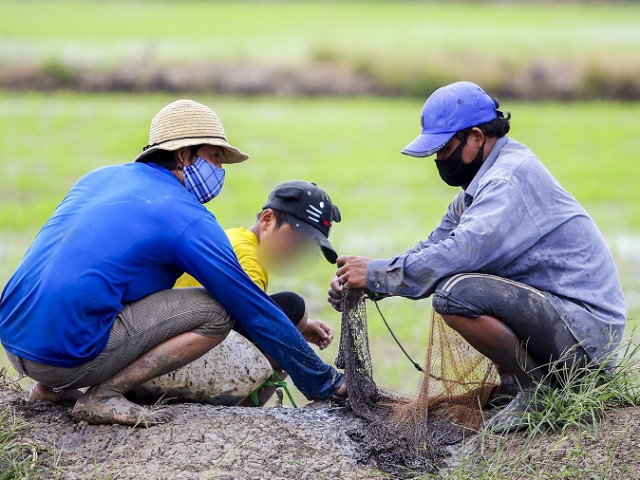 Tin tức trong ngày - Video: Theo chân xóm trọ nghèo ở TP.HCM ra đồng bắt cá, trang trải mùa dịch