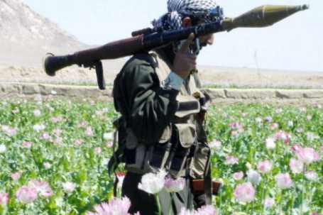 Taliban có dám mạnh tay với "lò" sản xuất 85% thuốc phiện của thế giới?