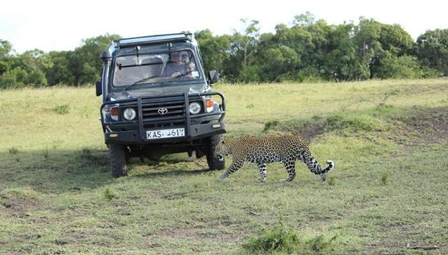 Đi lướt sóng và ngắm động vật hoang dã ở Masai Mara, Kenya: Kenya là điểm đến không thể bỏ qua của những người yêu động vật hoang dã với nhiều loài thú quý hiếm. 
