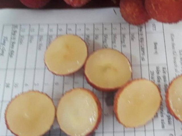 Thị trường - Tiêu dùng - Vải thiều Lục Ngạn không hạt gây tò mò, được săn lùng với giá 200 nghìn/kg