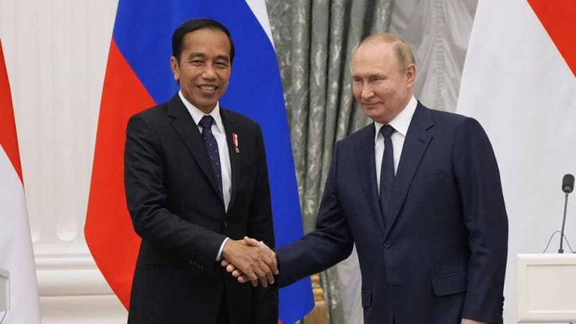 Tổng thống Nga Vladimir Putin gặp Tổng thống Indonesia Joko Widodo ở Moscow.