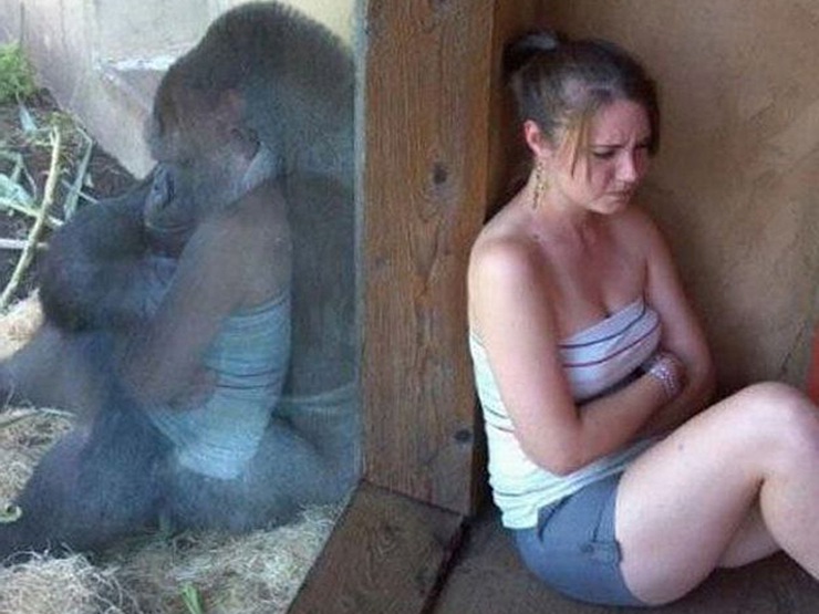 Tranh vui - Bao người bật cười khi vô tình bắt gặp tình huống hết sức "oái oăm"