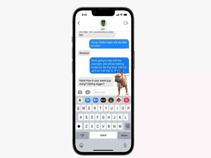 Công nghệ thông tin - Tính năng ẩn trên iOS 16 giúp “tách” chủ thể ra khỏi ảnh nền cực đỉnh