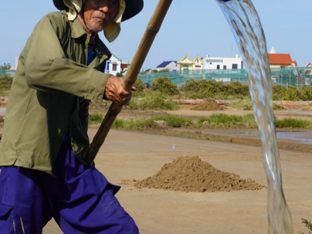 Tin tức trong ngày - Nghề kỳ lạ, trời càng nắng "như đổ lửa" nông dân càng vui