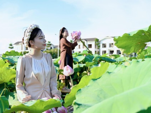 Thị trường - Tiêu dùng - Sen Hồ Tây vào mùa, dịch vụ thuê váy áo, trang điểm chụp ảnh hút giới trẻ