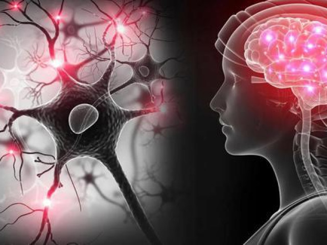 Sức khỏe đời sống - Một bệnh não hoàn toàn mới xuất hiện ở 40% người cao tuổi