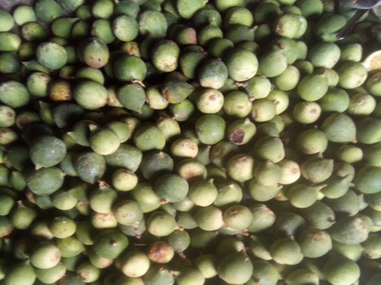 Thị trường - Tiêu dùng - Xưa mọc dại không ai hái, giá rẻ như cho, nay dân hái bán 400.000/kg thành đặc sản nổi tiếng