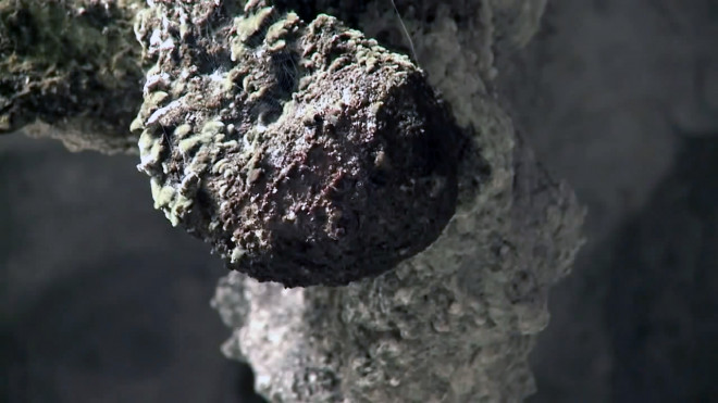 Trong động có nhiều nhũ đá, nước chảy ra mãi không hết