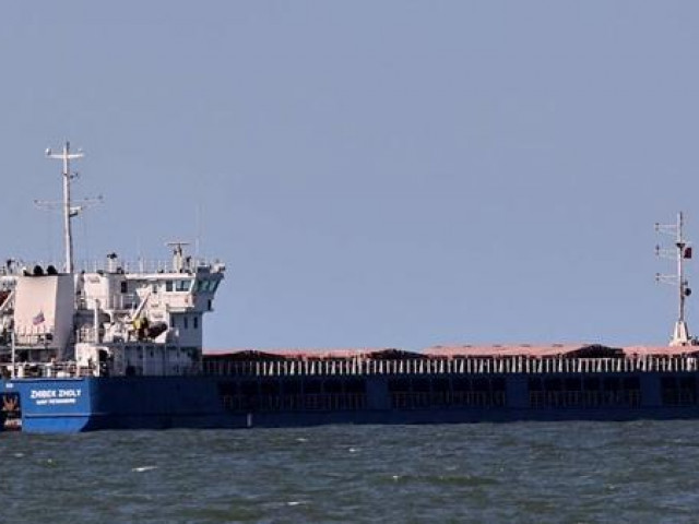 Thế giới - Thổ Nhĩ Kỳ bắt tàu Nga theo đề nghị của Ukraine