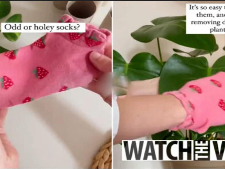 Bạn trẻ - Cuộc sống - Clip: Mẹo tái sử dụng 3 món đồ có ích trong gia đình