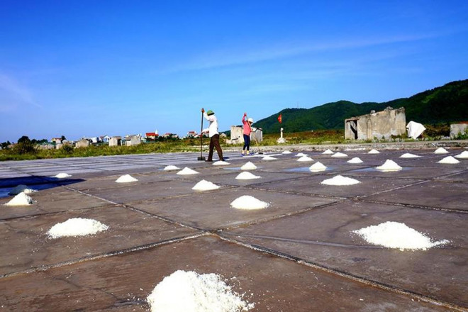 Cánh đồng muối Tam Hòa (Hòa Lộc, Thanh Hóa) từng biết đến là vựa muối lớn nhất của xứ Thanh, tuy nhiên đến ngày nay diện tích đã thu hẹp lại chỉ còn khoảng 50 ha. Ảnh: ĐẶNG TRUNG
