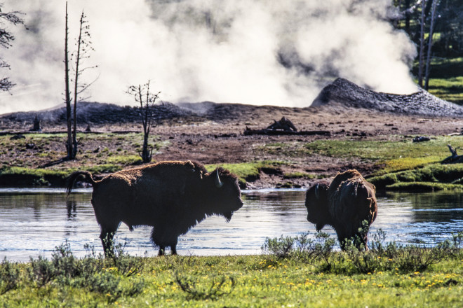 Những điều tuyệt diệu, kỳ thú ẩn chứa trong công viên quốc gia Yellowstone - 13