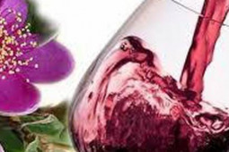 Ẩm thực - Thứ quả mùa hè đem pha nước hoặc ngâm, đàn ông uống vào giỏi "chuyện ấy", đàn bà uống thì an khí huyết