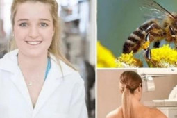 Sức khỏe đời sống - Chữa ung thư vú bằng nọc ong mật