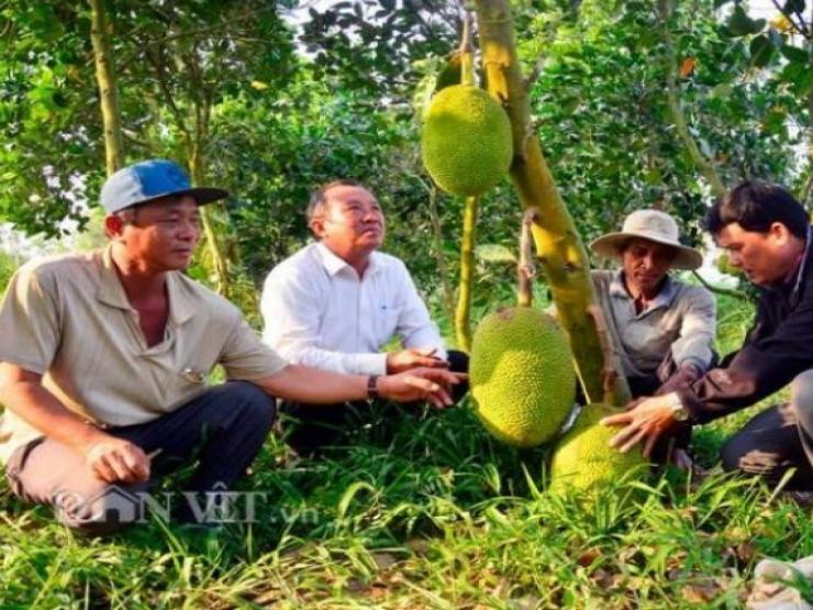 Nghề kiếm vài triệu mỗi ngày ở Việt Nam: Chỉ cần ngửi hoặc gõ trái cây