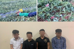 Tin tức trong ngày - Vụ phá ruộng dưa của cụ ông ở Nghệ An: 5 đối tượng sẽ bị xử lý thế nào?