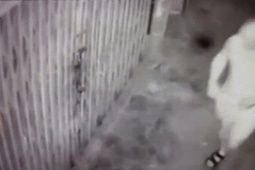 Pháp luật - Nữ sinh viên sợ hãi thuật lại thời điểm bị người hàng xóm quấy rối "xin ngủ cùng đêm nay"