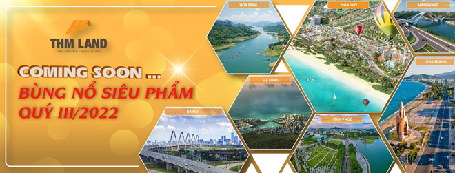 “Bội thu” giải thưởng, THM Land khẳng định “tầm vóc mới” trên hành trình phát triển - 3