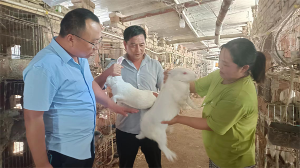 Năm 2021, gia đình chị Li Meirong kiếm 200.000 tệ (700 triệu đồng).