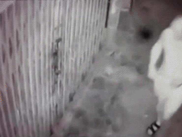 Pháp luật - Nữ sinh viên sợ hãi thuật lại thời điểm bị hàng xóm quấy rối "xin ngủ cùng đêm nay"