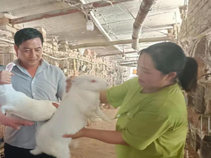 Nghe bạn mách, người phụ nữ nuôi con đẻ nhanh, kiếm 700 triệu/năm